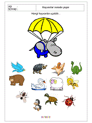 uçabilen hayvanları bul ve işaretle